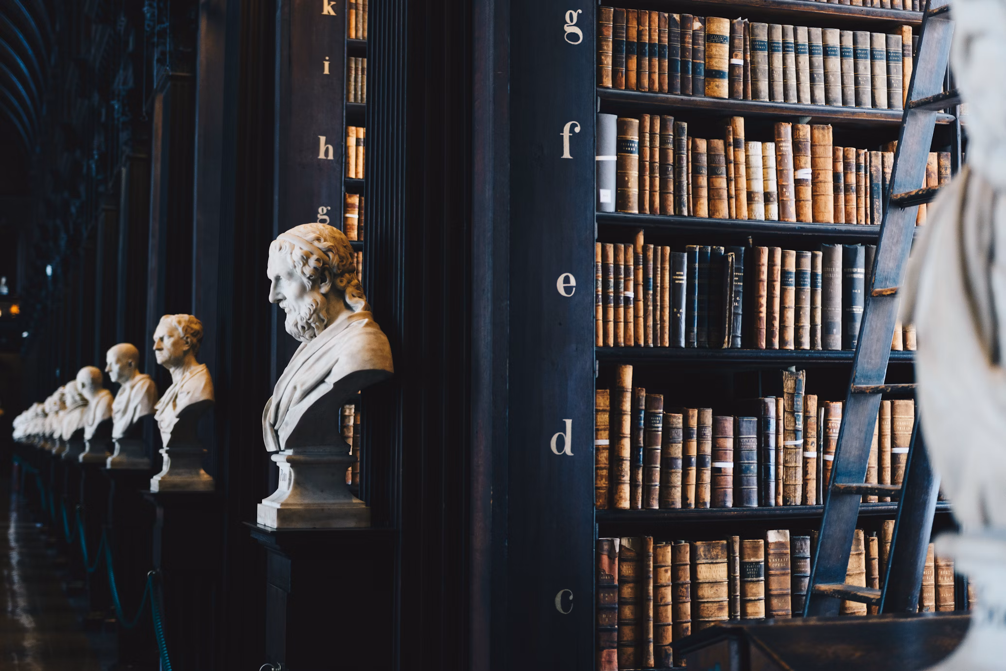 Shajjan Paralegal Services background